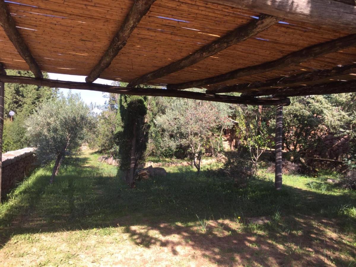 Corbezzolo Villa Порто Таверна Екстериор снимка