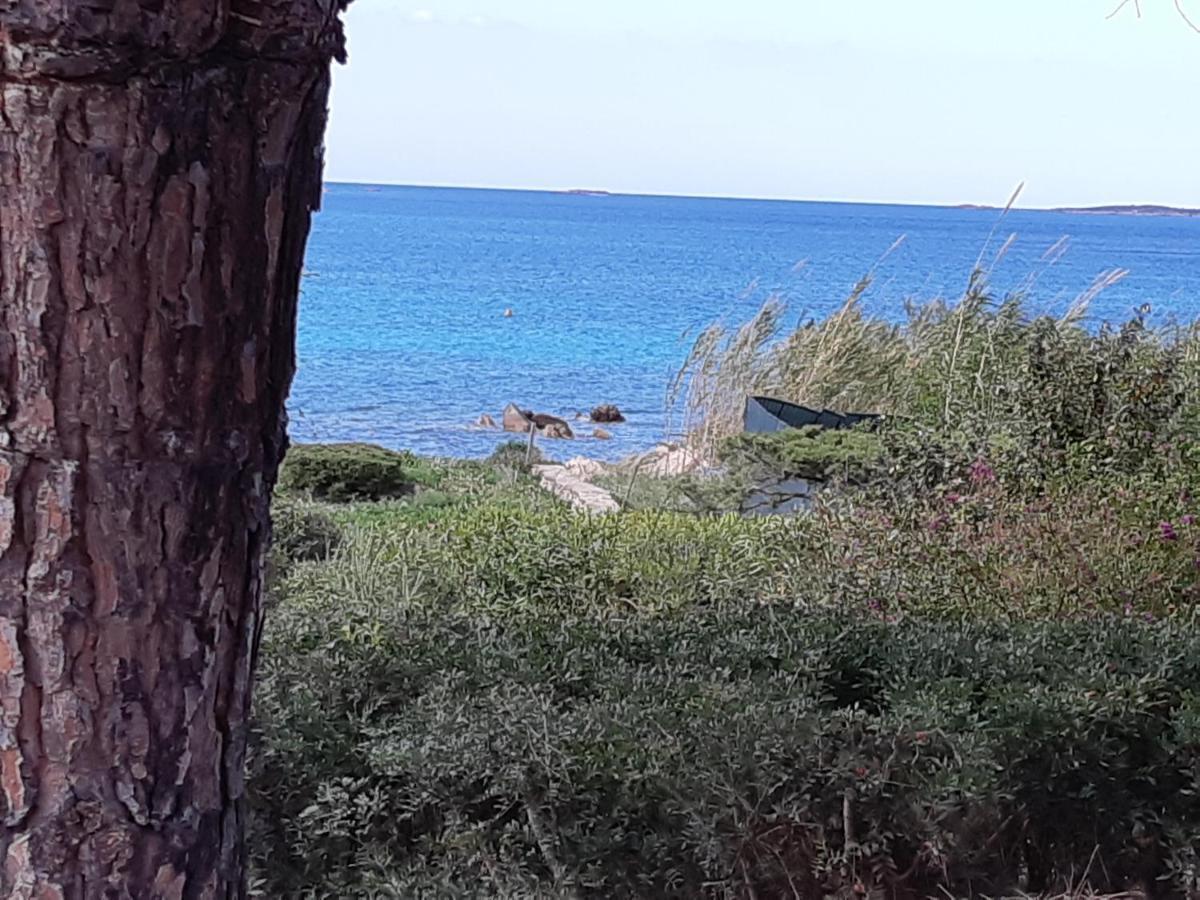Corbezzolo Villa Порто Таверна Екстериор снимка