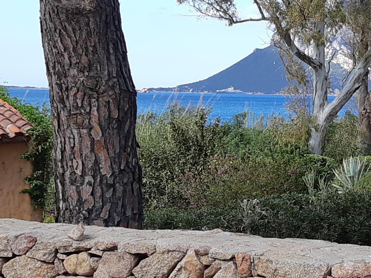 Corbezzolo Villa Порто Таверна Екстериор снимка
